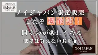 見た目が楽しい！圧巻の光景！！綺麗に並ぶカードの機能美！実用新案登録のハニーセル®搭載＋使いやすさを求めてギャルソン型のノイジャパン限定商品【ノイジャパン公式チャンネル】