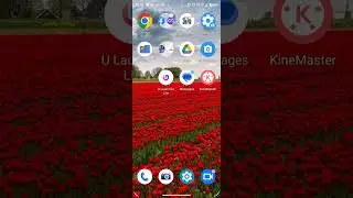Auto Rotate Screen In Moto X40, Rotate Screen Setting In Moto X40, How To Rotate Screen