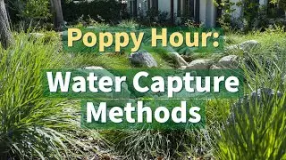 Poppy Hour: Water Capture Methods with Cris Sarabia