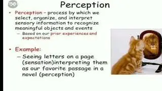 Perception definition and perception process|| importance of perception|| types of perception