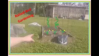 SERVi Homestead Garden Update - End of March 2019