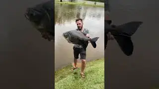 Tambacu pesca sun lake londrina