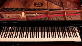 Chopin - Fantasie Impromptu in C Sharp Minor on a Yamaha Disklavier DKC-800