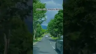 Nature Provides a Peaceful Mind (Science Explained)
