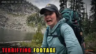 2 Hours Of FOREST Encounters That Will Make You AFRAID Of It