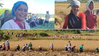 U kba ba kyrpang tam ioh ot ki nong Lapangap, phuh mut phut mat ki nongrep