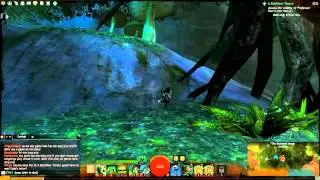 Guild Wars 2 - Brisban Wildlands Vista Points Tutorial