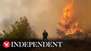 Watch again: Wildfires continue to rage in Greece during Europe's record-breaking heatwave