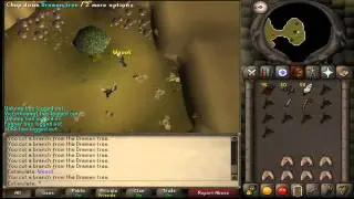 [Oldschool Runescape] Level 3 Skiller Does Lost City