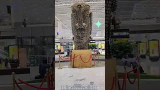 ✈️ Delhi Airport&rsquo;s Stunning New Terminal 1! 🌏 #delhiairport , #igiairport , #beautifulairport