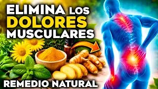 ADI&Oacute;S al DOLOR MUSCULAR y ARTICULAR | 5 PLANTAS ANALG&Eacute;SICAS y ANTIINFLAMATORIAS