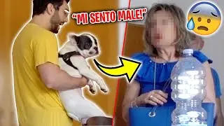 HO COMPRATO UN CANE! Scherzo ai MIEI GENITORI!