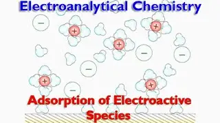 Adsorption of Electroactive Species