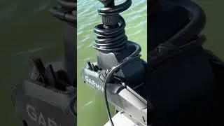 Kraken making a knocking sound when engaging prop