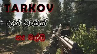 New free game Arena Breakout Sinhala gameplay (Now on steam) #sinhalagameplay #arenabreakout