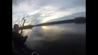 RI TROUT OPENING AT STANKKIN WOOD LOL 4oz