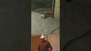 Half Life 3
