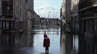 &Eta; &kappa;&alpha;&tau;&alpha;&iota;&gamma;ί&delta;&alpha; &Nu;&iota;&lambda;&sigmaf; &sigma;&alpha;&rho;ώ&nu;&epsilon;&iota; &tau;&eta; &gamma;&alpha;&lambda;&lambda;&iota;&kappa;ή &Alpha;&tau;&lambda;&alpha;&nu;&tau;&iota;&kappa;ή &alpha;&kappa;&tau;ή, &zeta;&eta;&mu;&iota;έ&sigmaf; &sigma;&epsilon; &sigma;&kappa;ά&phi;&eta;, &xi;&epsilon;&rho;&iota;&zeta;&omega;&mu;έ&nu;&alpha; &delta;έ&nu;&tau;&rho;&alpha;