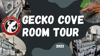 Gecko Cove Room Tour Fall 2023
