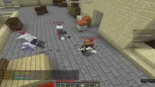 Тим на ParkourRacers Solo