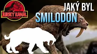 Smilodon: &Scaron;avlozub&yacute; tygr | Atlas Druhů #20 | Jursk&yacute; Kan&aacute;l