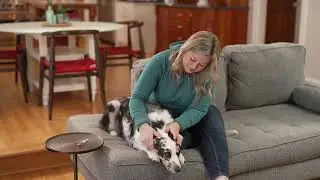 How to Give Your Pet an Insulin Injection with Ulticare