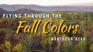 Flying Through The Fall Colors - Northern Utah