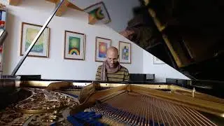 #826 of 10.000 Bl&uuml;thner Grand Piano Pieces