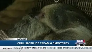 Wiggins ice cream shop aims to stop animal trafficking