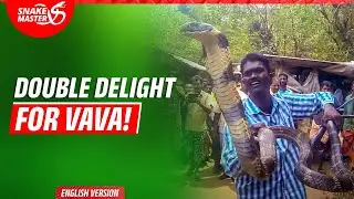 EP 42 | King Cobra Rescue Mission in Kerala | Vava Suresh&rsquo;s Sudden Change of Plans! | Snake Master