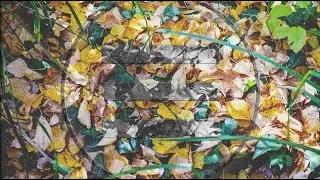 Revaira - Revive (Progressive Metalcore, Post-Hardcore, Djent)