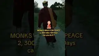 Monks Walk for Peace #ori #monks #buddhist #walkforpeace #viralvideo #viralmusic #peacewalk #peace