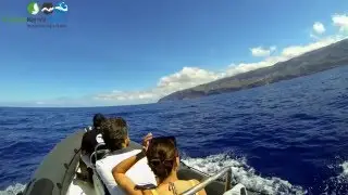 Boat Trip and SUP in Madeira