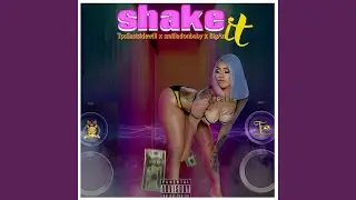 Shake it (song)