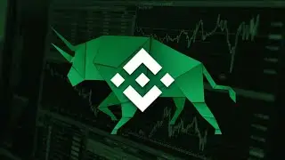 BNB&rsquo;s impressive price surge when crypto market struggled! #cryptocurrency #crypto #bnb #binance