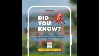 [02] Daily Fun Fact 🧠 | Soni Modern Public School | #shorts #school #funfacts #funfact #schoollife