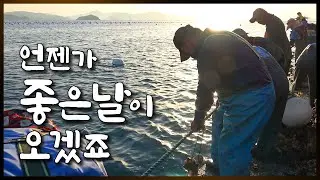 빚이 10억이나 있는 사장님이 굴 양식을 계속 하는 이유