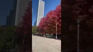 Fall Colors. Millennium Park, Downtown, Chicago. Oct 23, 2022. #chicago #chicagodowntown #fallcolors