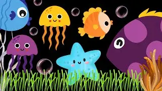 High Contrast Baby Sensory Video Tummy Time - Newborn Visual Stimulation - Sensory Videos For Babies