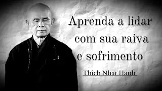 Aprenda a lidar com sua raiva e sofrimento - Thich Nhat Hanh