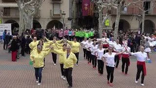 Concurs de colles sardanistes. Balaguer, Cobla Maravella. 2024