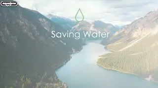 Aqualona