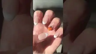 Fall nail inspo! #preppy #nails #inspiration #fypシ゚viral #shorts #fyp #viral