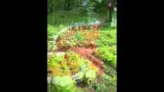 Jill's Garden 2014