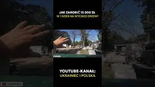 Jak ZAROBIĆ 15 000 zł w JEDEN dzień na wycince drzew?