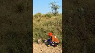 monkey rescue #shortvideo #animalrescue #shortsviral #shorts #short #trending