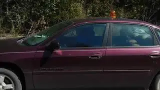 Postal Worker shot and killed