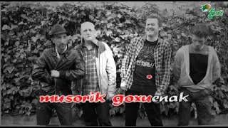 Ametsik ederrena (PIZTIAK)