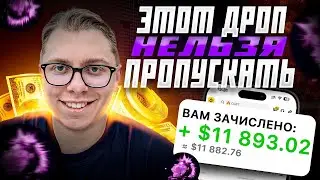 Заработай на PARADEX в 2025. Полный пошаговый гайд.