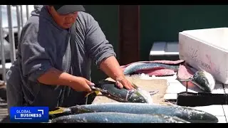 Climate change and regulations threaten South Africa&rsquo;s coastal fishermen